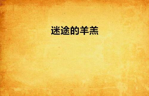 迷途羔羊,探寻心灵迷失与救赎之旅