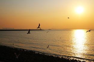 陪你追风逐浪,共赴风起云涌之旅